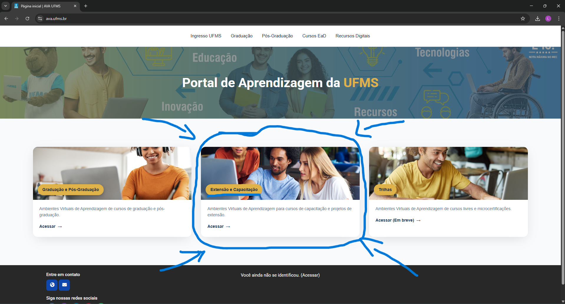 Opção Extensão e capacitação